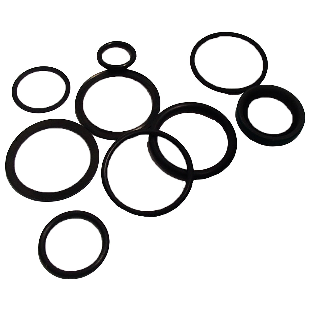 AM36221 Lift & Cylinder Seal Kit Fits John Deere Garden Loader 20